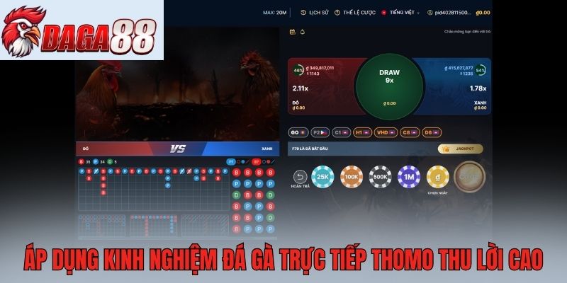 Áp dụng kinh nghiệm đá gà trực tiếp Thomo thu lời cao