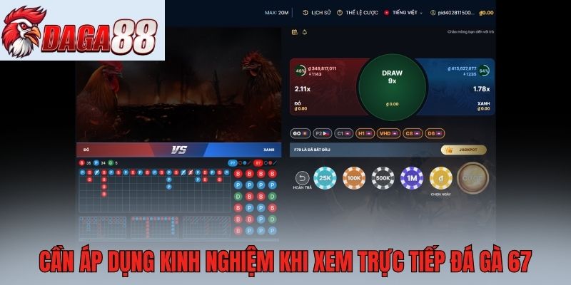 Trực tiếp đá gà 67 tại Daga88 siêu hấp dẫn