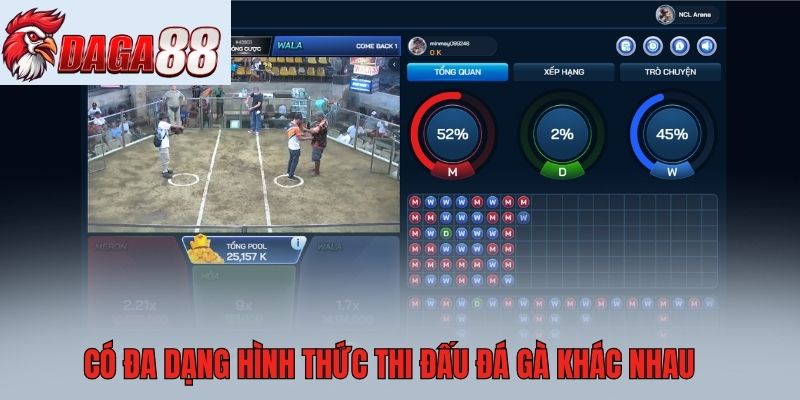 Có đa dạng hình thức thi đấu đá gà khác nhau