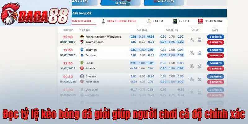 Đọc tỷ lệ kèo bóng đá giỏi giúp người chơi cá độ chính xác