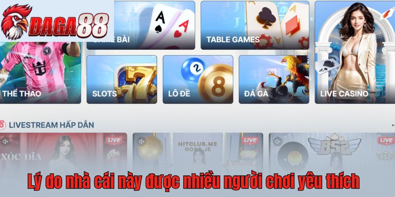 Lý do nhà cái này được nhiều người chơi yêu thích