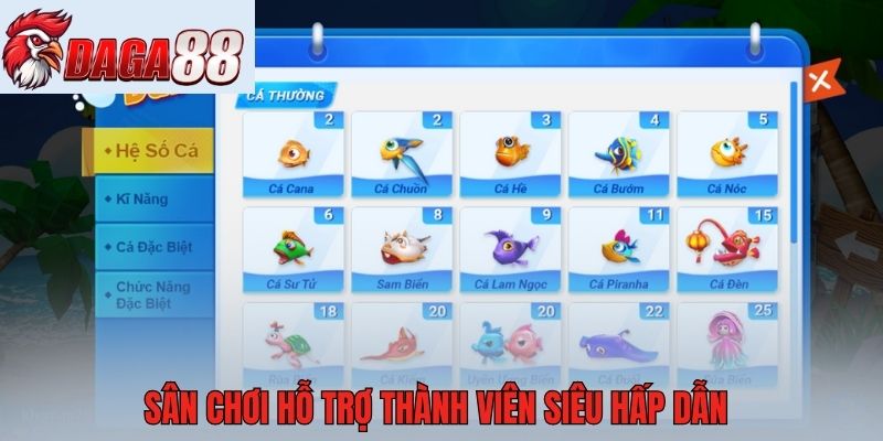 Sân chơi hỗ trợ thành viên siêu hấp dẫn