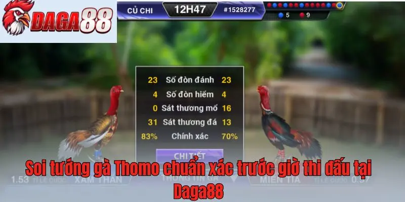 Soi tướng gà Thomo chuẩn xác trước giờ thi đấu tại Daga88