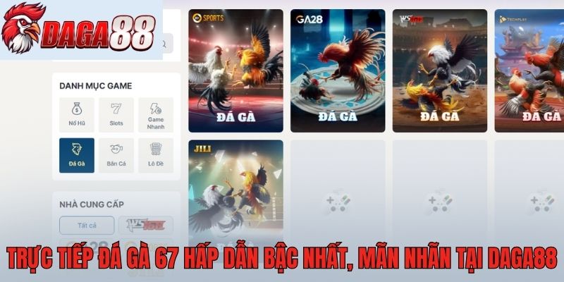 Trực tiếp đá gà 67