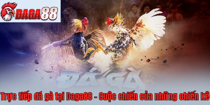 Trực tiếp đá gà