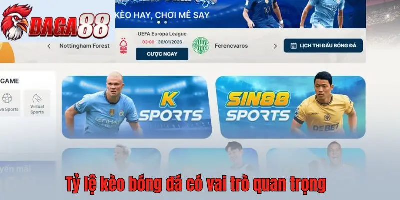 Tỷ lệ kèo bóng đá có vai trò quan trọng